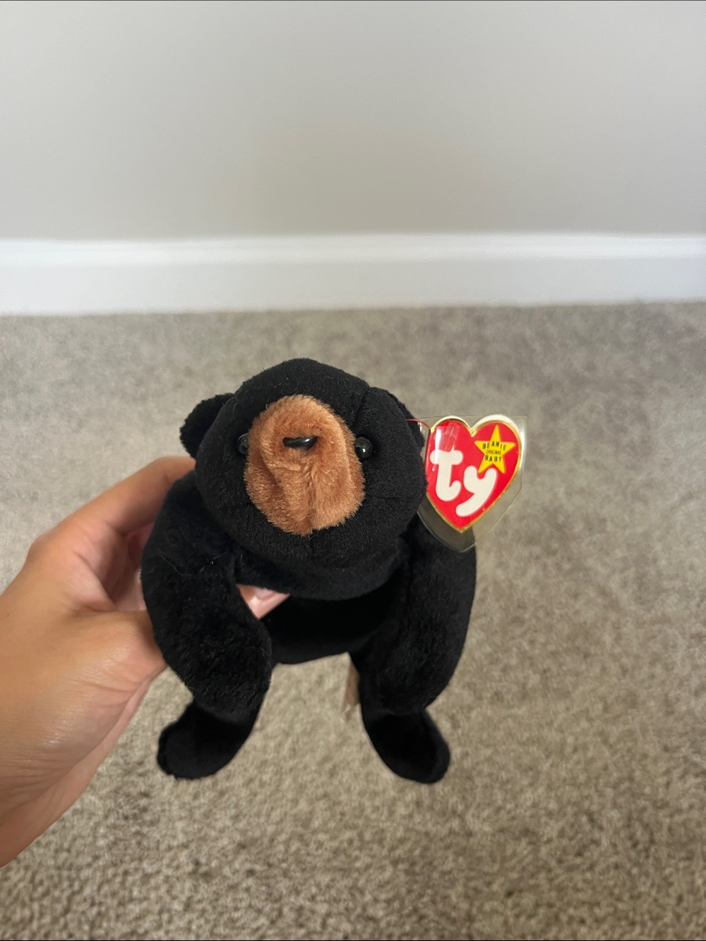 Blackie Bear Beanie Baby